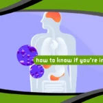 How to Know If You’re in Ketosis